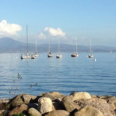The Flowers 2 Desenzano del Garda